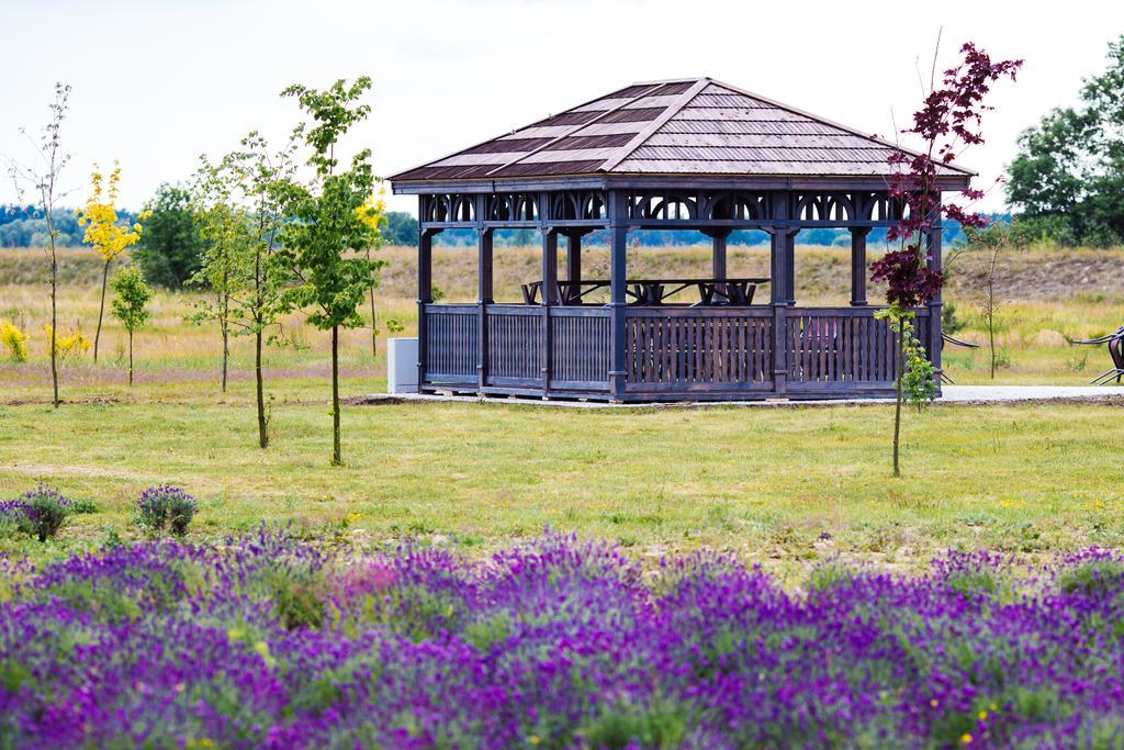 Lawendowe Termy Hotel Uniejow Exterior photo